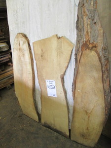 Three Silver Maple Slabs, One 2 Th...