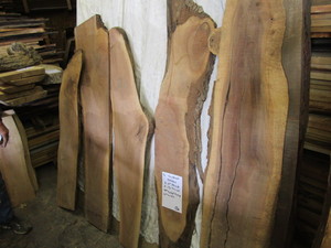 Five Walnut Slabs, Three 2 thick, ...