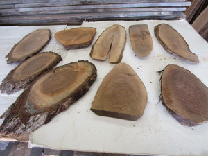Walnut Ovals, Nine 1 Thick, 6 - 1...