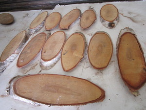 Birch Ovals, Twelve 34 Thick, 4-1...