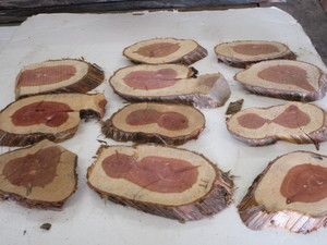 Cedar Ovals, Ten 78 Thick, 3-12...
