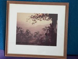 lot 75 image: Framed Vintage Landscape Photograph - Scenic View