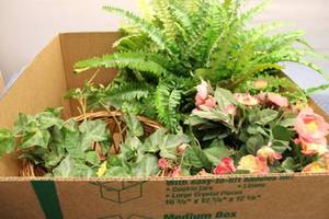 lot 291 image: Collection of Artificial Plants and Wicker Basket