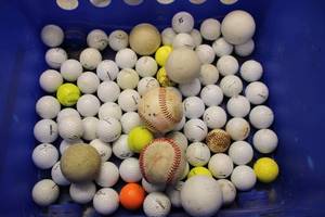 lot 204 image: Mixed Lot of Golf Balls and Baseballs - Variety of Brands and Types