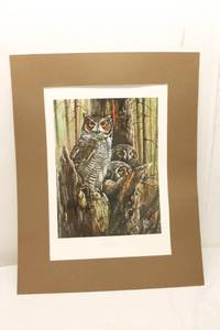 lot 311 image: Framed Art Print Three In A Tree III by Beverly Scalze featuring Owls