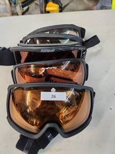 SkiSnowboard Goggles