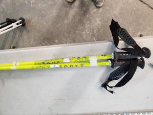 Ski Poles - 42in