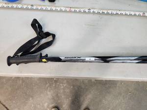 Ski Poles - 42in