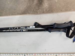 Ski Poles - 44in