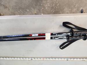 Ski Poles - 39in