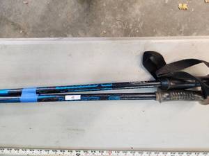 Ski Poles - 47in