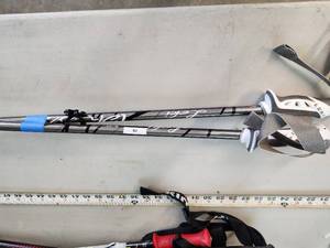 Ski Poles - 48in