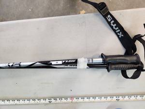 Ski Poles - 48in