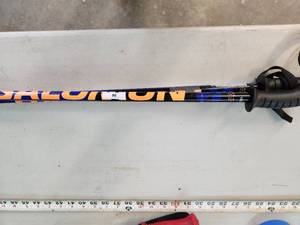 Ski Poles - 41in
