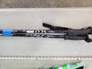 Ski Poles - 50in