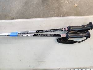 Ski Poles - 50in