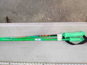 Ski Poles - 49in