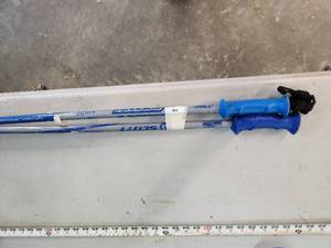Ski Poles - 31in