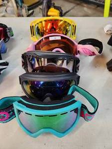 SkiSnowboard Goggles