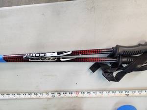 Ski Poles - 50in