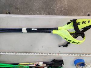 Ski Poles - 50in