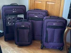 lot 67 image: Set of Four Nesting Suitcases by Segovia