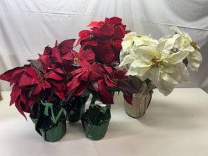 lot 9 image: Poinsettas-4 small & 2 Large