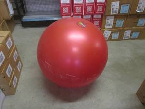 lot 126 image: (A-3) Go Fit Exercise Ball ...