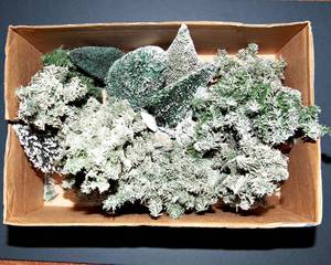 lot 302 image: Christmas Village Trees #2