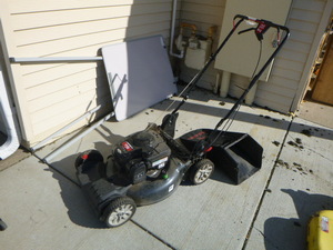 Troy Bilt XP Push Lawn Mower with Bagger
