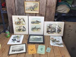 lot 151 image: Vintage Framed-Loose Water Fowl Prints-Pictures-Guides