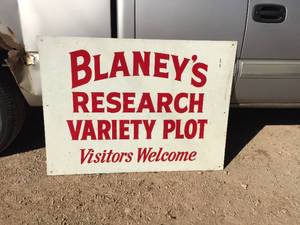 lot 155 image: Impressive Vintage Blaneys Metal Sign - 49 x 36