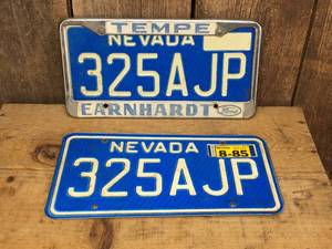 lot 163 image: Pair Vintage Nevada License Plates with Rare Earnhardt Surround