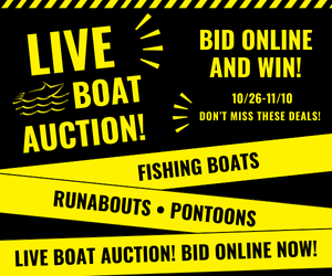 lot 0 image: Important Information