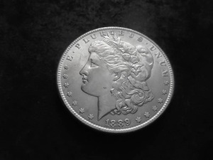 1889 Morgan Silver Dollar