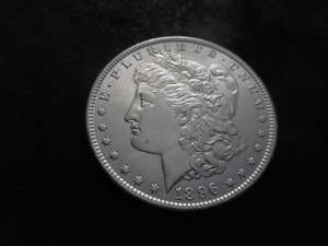 1896 Morgan Silver Dollar