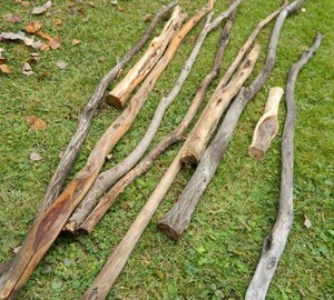 DIAMOND WILLOW STICKS