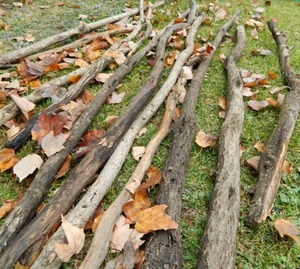 DIAMOND WILLOW STICKS