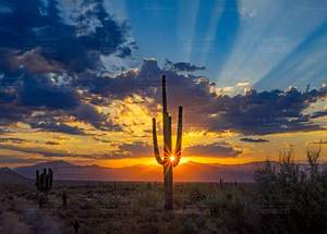 lot 0 image: Pickup Info - Appointments ok within 5 days Please - Fri & Saturday Set Pickup Hours