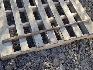 lot 70 image: Used Steel Hand Tool - Long Metal Spike Pronged Tool 44