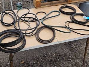 lot 235 image: Assortment of Belts - Various Brands and Sizes See Pics and Description for More Info
