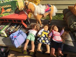 lot 171 image: 3 American Girl Dolls - Horse - Accessories