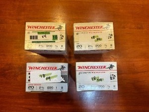 lot 18 image: Winchester Super-Target 20 Gauge 2 34 8 Lead Shot Shells (Four Boxes - Quantity 25 per box)