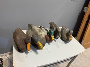 lot 14 image: Duck Decoys