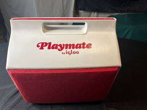 lot 253 image: Playmate by igloo Cooler with Assorted Disposable Utensils