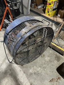 fan