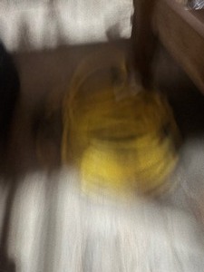 cord