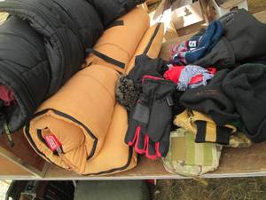 lot 42 image: (3) insulated sleeping bags...