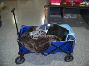 lot 163 image: Uline Ultimate Folding  Compact Pack & Play Blue Utility Wagon and Heated Blanket