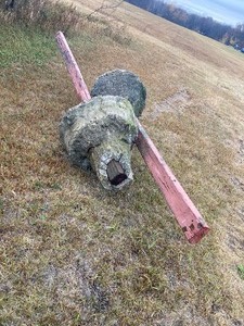 Wood Posts in Concrete (Lot of 2)